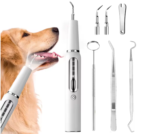 Canidex Ultrasonic Dental Kit