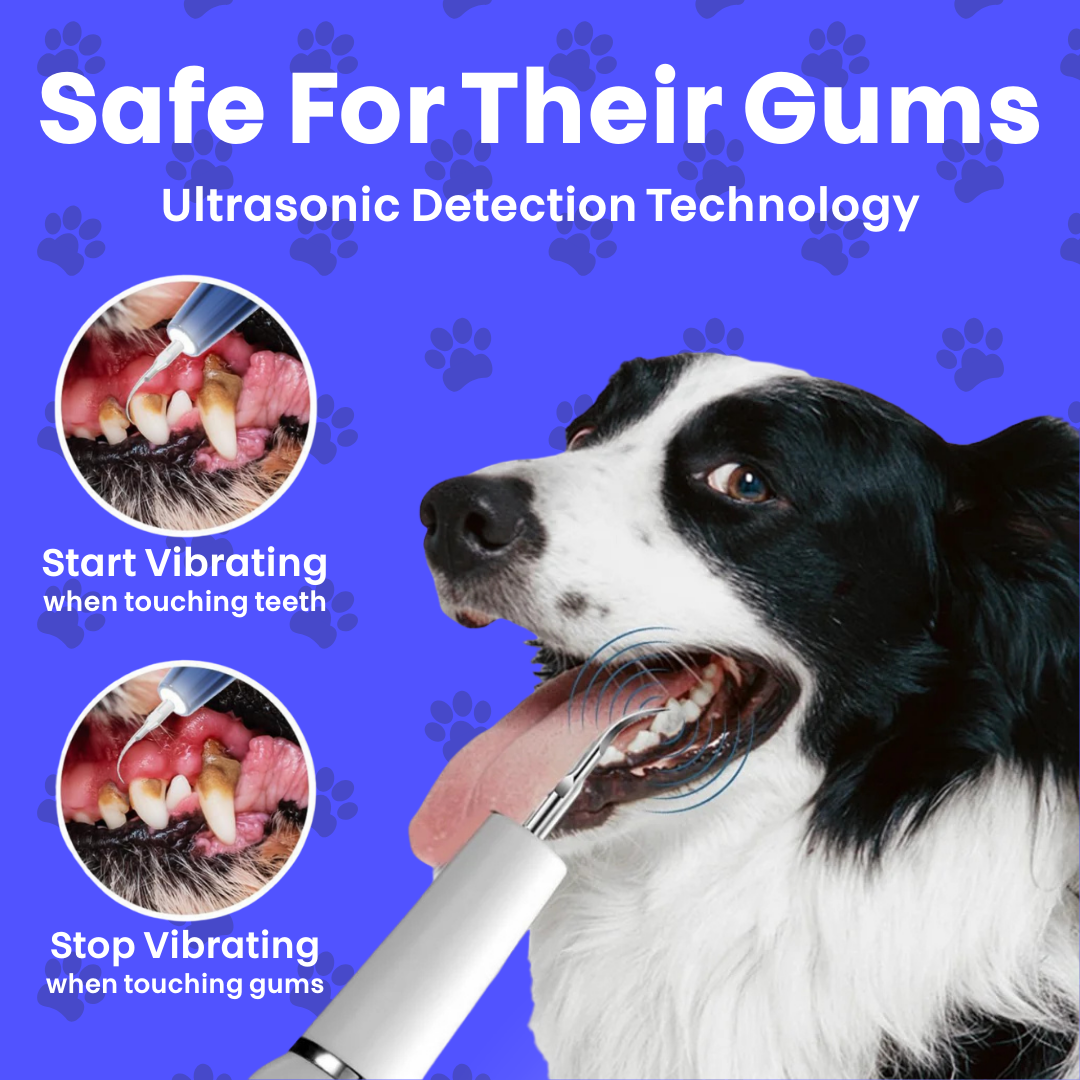 Canidex Ultrasonic Dental Kit