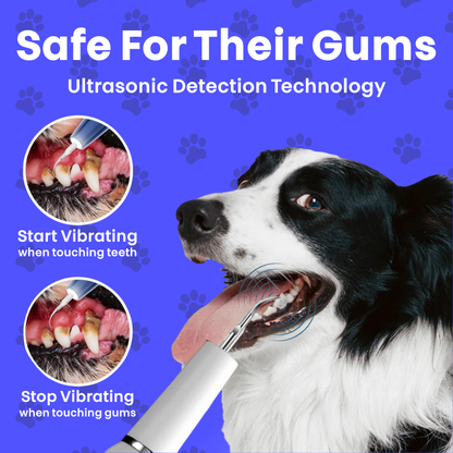 Canidex Ultrasonic Dental Kit