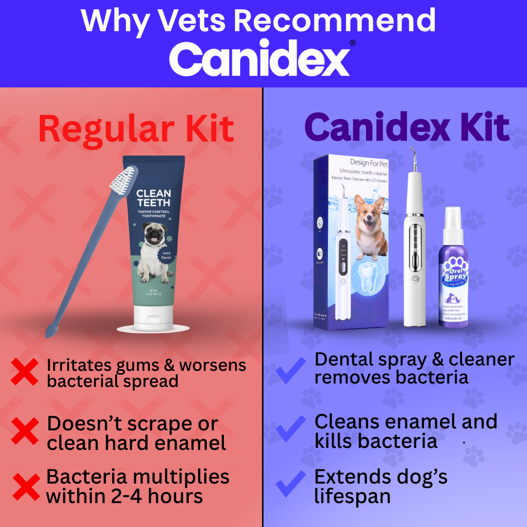 Canidex Ultrasonic Dental Kit