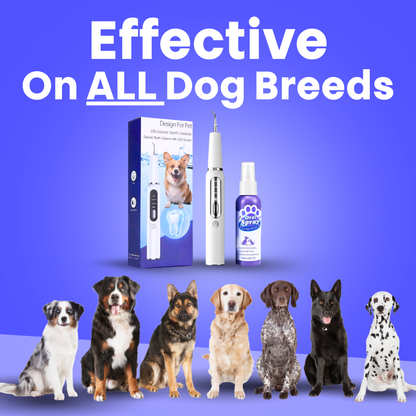 Canidex Ultrasonic Dental Kit