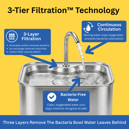 PawMex Stainless Steel Water Fountain (8 Filters)