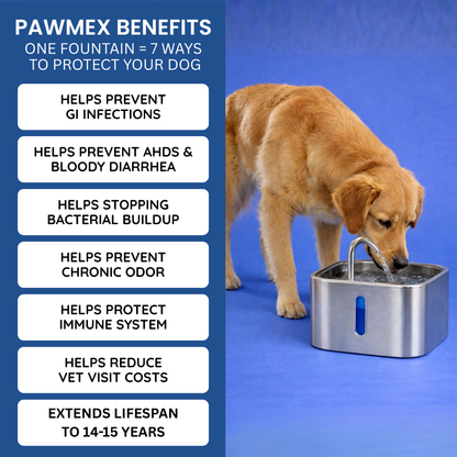 PawMex Stainless Steel Water Fountain (8 Filters)