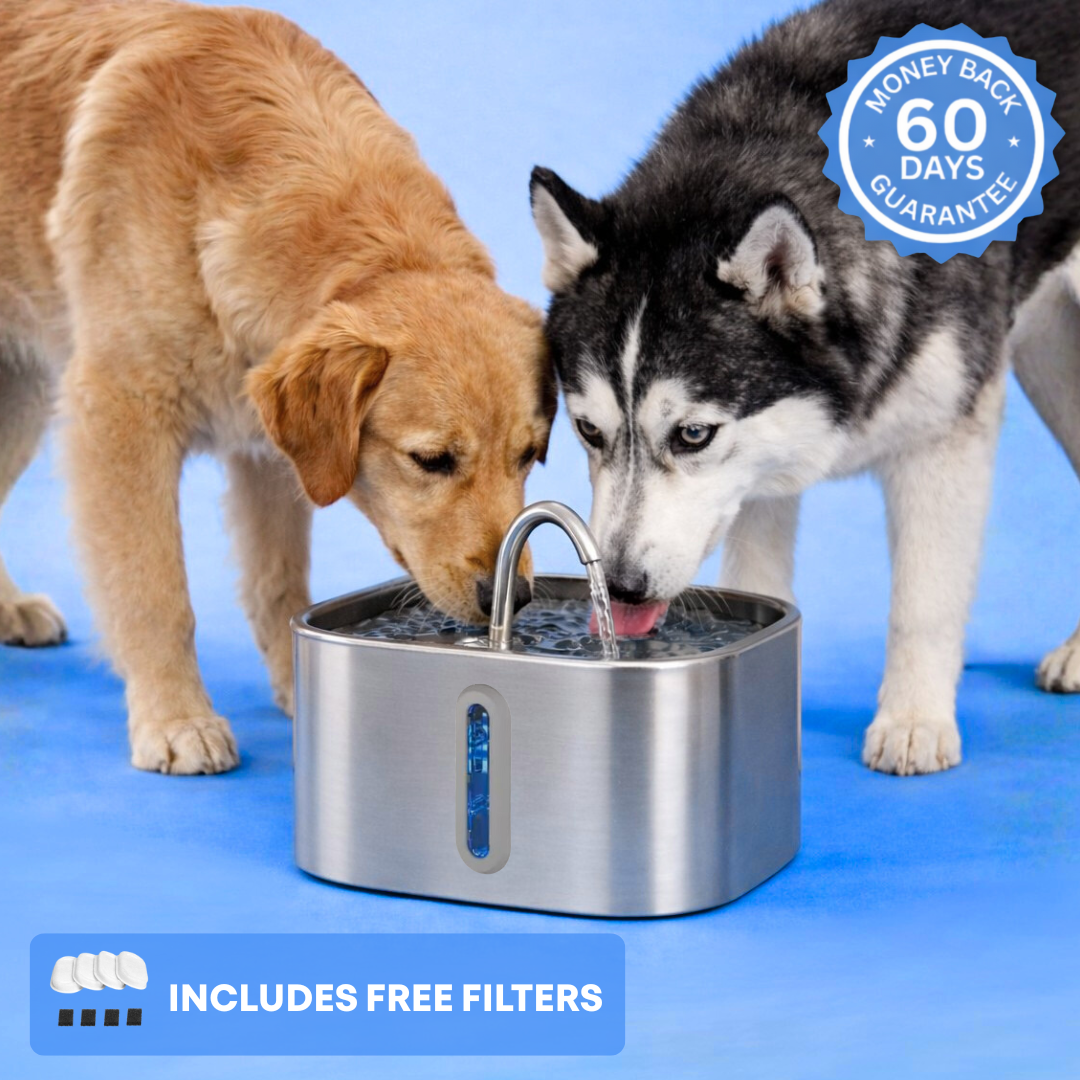 PawMex Ultimate Water Filtration Kit