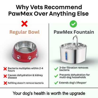 PawMex Ultimate Water Filtration Kit
