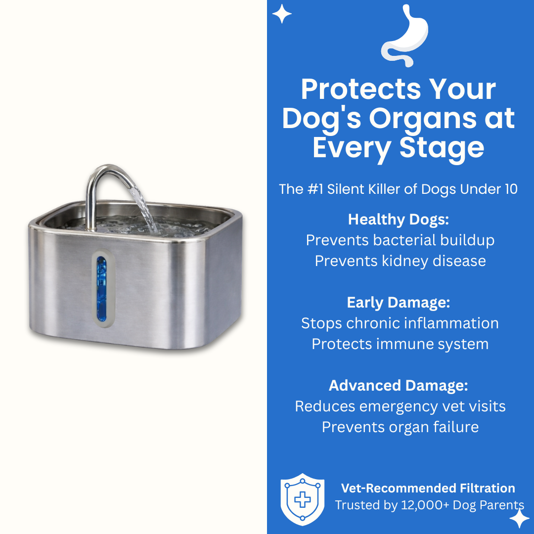 PawMex Ultimate Water Filtration Kit