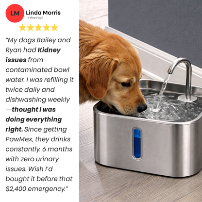 PawMex Ultimate Water Filtration Kit