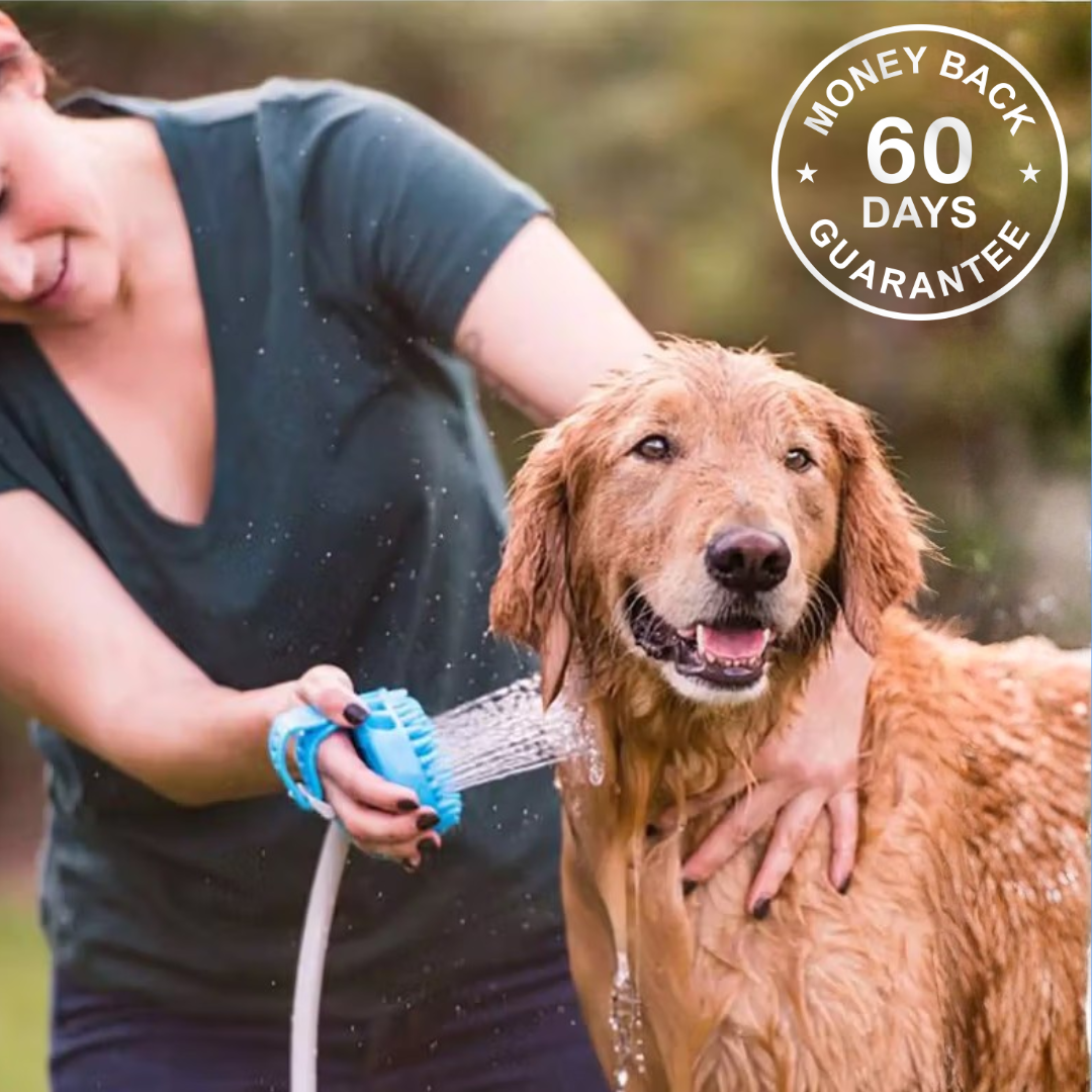 PawMex Water Fountain
