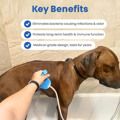 PawMex Water Fountain