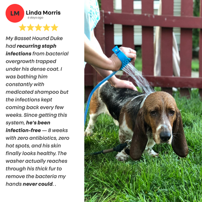 PawMex Water Fountain